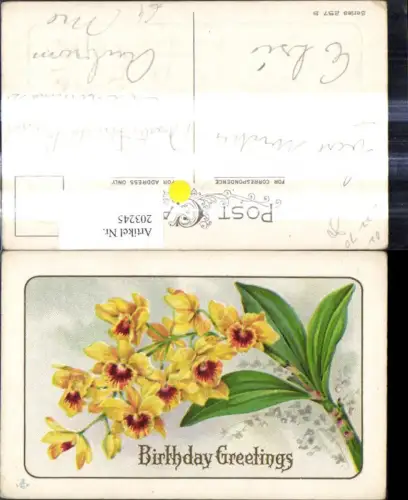 203245,Präge Ak Blumen Birthday Greetings Geburtstag Passepartout