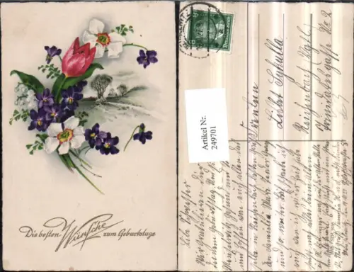 249701,Geburtstag Landschaft Blumen Veilchen Tulpen Märzenbecher weiße Narzissen pub HWB 3938
