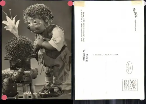 164259,Mecki Igel AK Nr 18 Welch ein Wunder Kaktus Blume