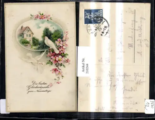 210244,Namenstag Blumenzweig Blumen Tauben Brief Landschaft