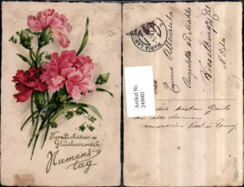 249001,Namenstag Blumenstrauß Nelken pub Erika 3044