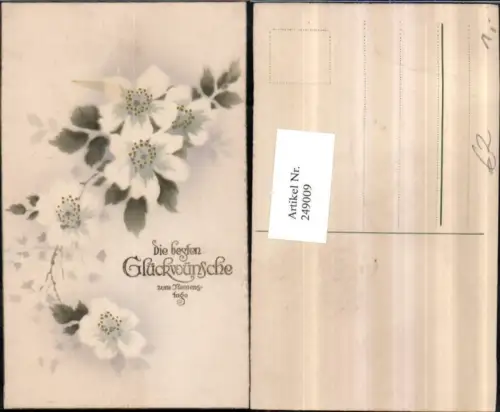 249009,Namenstag Baumblüten Blüten