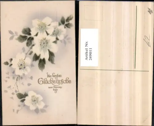 249011,Namenstag Baumblüten Blüten