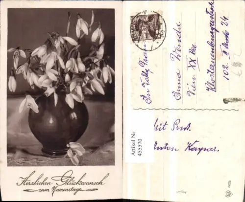455570,Namenstag Schneeglöckchen Blumen Vase