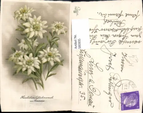 595935,Namenstag Blumen Edelweiß