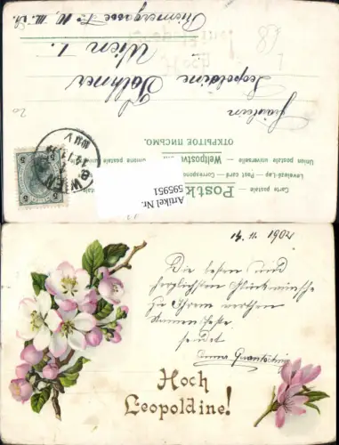 595951,Litho Namenstag Hoch Leopoldine Rosa Blütenzweig