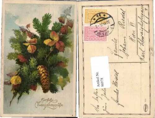 86978,AMAG 0114 Neujahr tannenzapfen