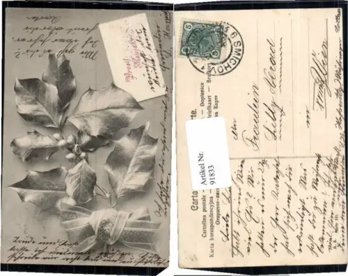 91833,Neujahr Distel Beeren 1905