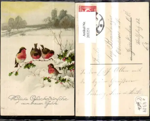 203251,Neujahr Winterlandschaft Vögel a. Zweig i. Vordergrund