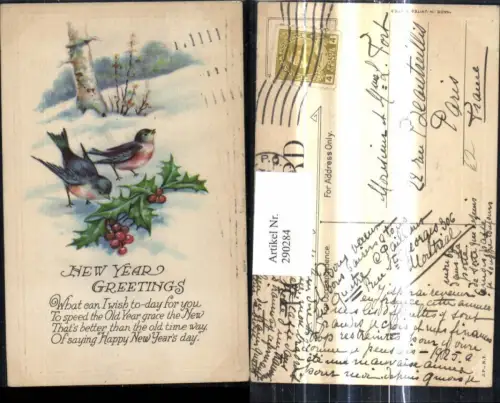 290284,Künstler Ak Neujahr Vögel Stechpalmen Zweige Baum New Year Greetings Spruch Text
