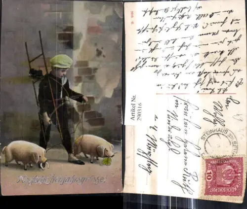 290316,Neujahr Kind Bub Junge Schornsteinfeger Rauchfangkehrer Schweine Hufeisen Klee
