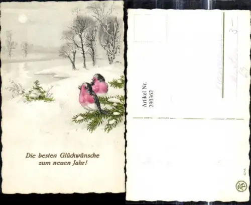 290362,Künstler Ak Neujahr Vögel Tannenzweig Winterlandschaft Goldschrift