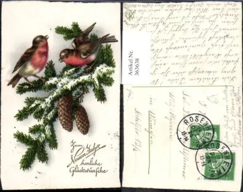 363638,Künstler Ak Neujahr Vögel a. Tannenzweig Zapfen Goldschrift