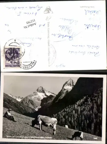 112795,Motiv aus dem Kühe im Lesachtal bei St Lorenzen Hermagor Mauthen
