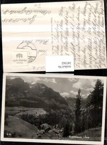 243362,Birnbaum im Lesachtal Teilansicht