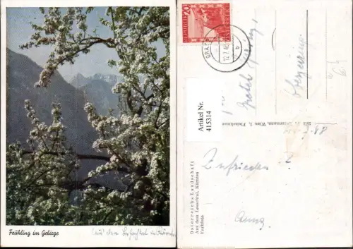 415314,Lesachtal Frühling im Gebirge Bergkulisse Baumblüte