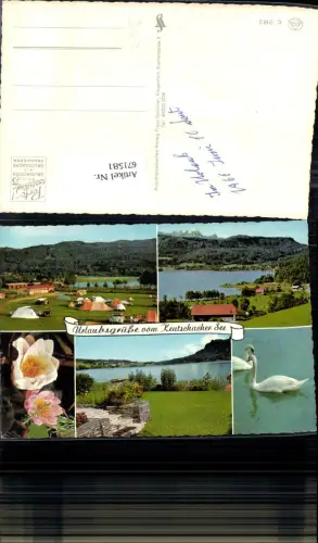 671581,Mehrbild Ak Keutschacher See Schwan Schwäne Keutschach am See