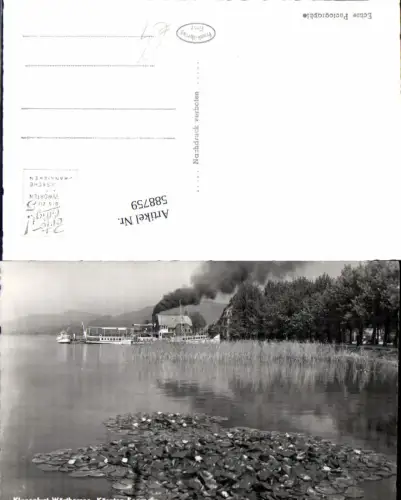 588759,Klagenfurt Stadt Seerosen