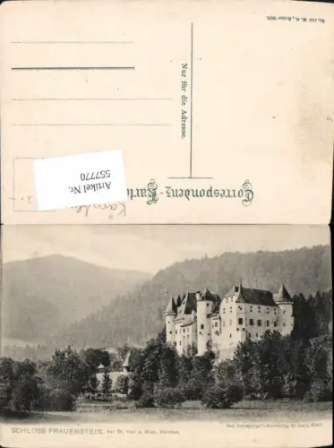 557770,tolle AK St. Veit an der Glan Schloss Frauenstein