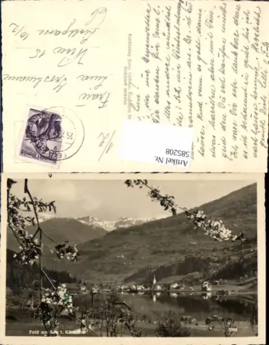 585208,Foto Ak Feld am See Ansicht m. Baumblüte i. Vordergrund