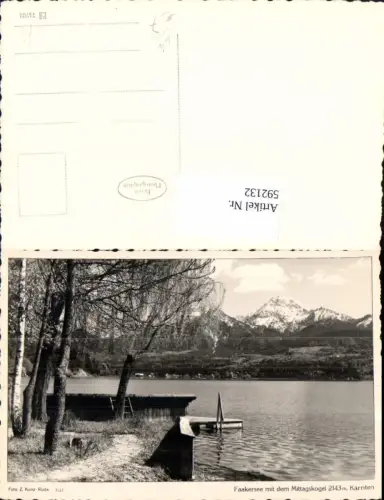 592132,Foto Ak Faakersee m. Mittagskogel Birke Baum Finkenstein am Faaker See pub Z. Kunz-Ruda 3127