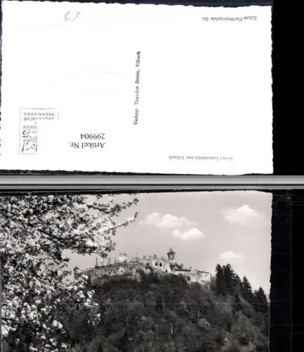 299904,Ruine Landskron b. Villach b. St. Andrä Baumblüte
