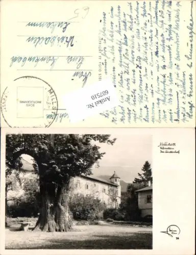 607510,Millstatt am Millstättersee 1000 jährige Linde Baum