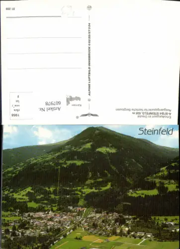 607978,Steinfeld Drautal Totale pub Alpine Luftbild 81209