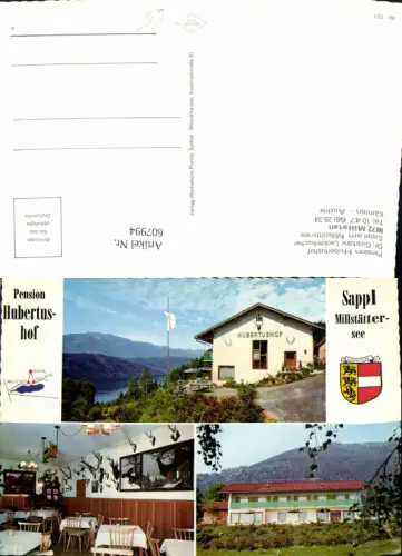 607994,Mehrbild Ak Millstatt a. See Pension Hubertushof