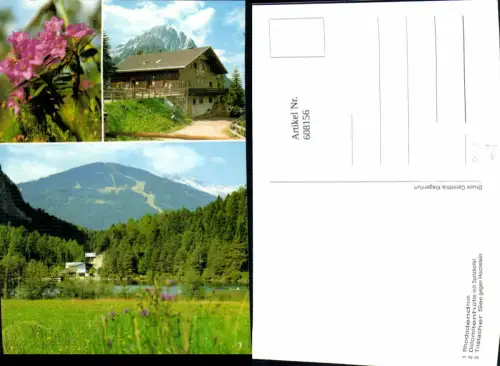 608156,Mehrbild Ak Tristach Dolomitenhütte m. Spitzkofel Tristacher See geg. Hochstein Rhododendron