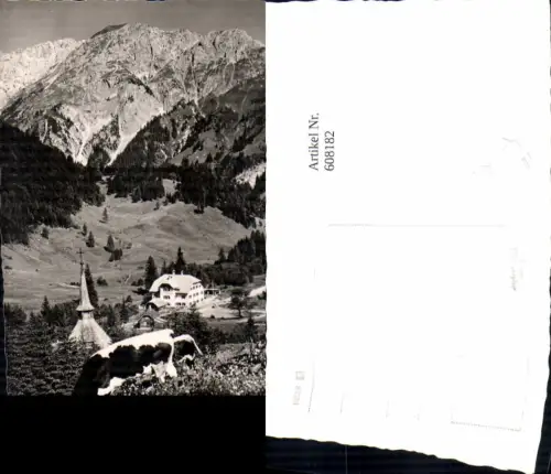 608182,Foto Ak Plöckenhaus u. Heidengedächtniskapelle a. Plöcken m. Mooskofel Rind Kuh Kötschach-Mauthen