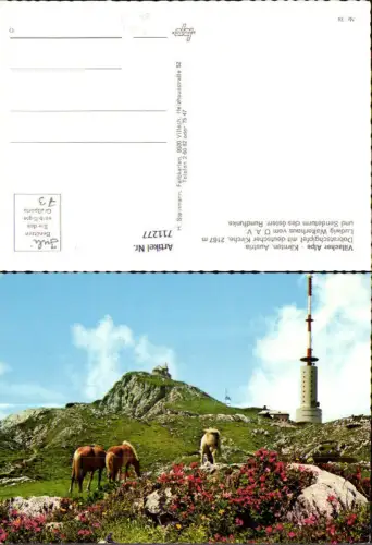 711277 Villacher Alpe Dobratsch Gipfel mit Kirche Sendeturm Pferde b. Villach