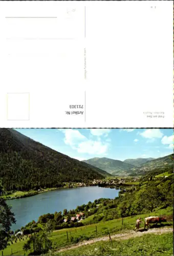 711303 Feld am See Ansicht