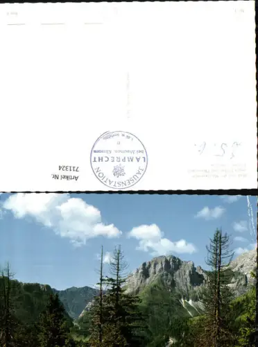 711324 Blick v. d. Mauthneralm geg. Cellon u. Plöckenpaß Lamprecht a. Mauthen