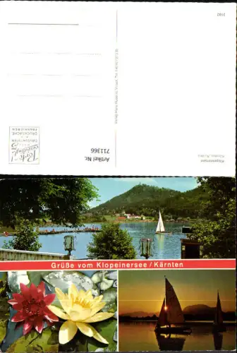 711366 Mehrbild AK Klopeinersee Segelboot Seerosen
