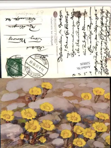 520826,Künstler AK Handgemalt Löwenzahn Blumen