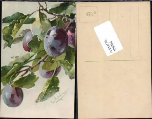 100746,Catharina Klein Zwetschken Obst Früchte