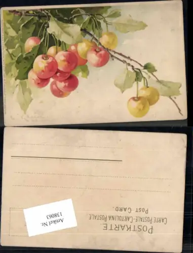 138063,Catharina Klein Obst Früchte Kirschen pub Meissner e Buch 1309