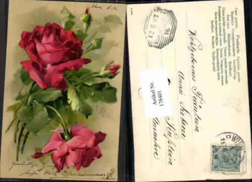 178401,Künstler AK Catharina Klein Rote Rose Blumen