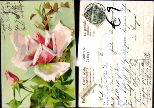 214043,Präge Künstler AK Catharina Klein Blumen Blüte