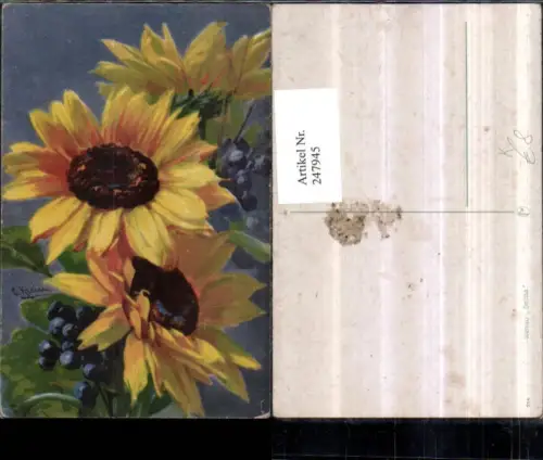 247945,Künstler AK Klein Catharina Sonnenblumen Blumen