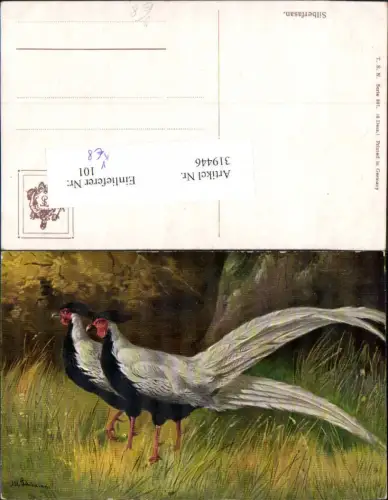 319446,Künstler Ak Alfred Schönian Silberfasan Tiere Vogel pub Theo Stroefer 887