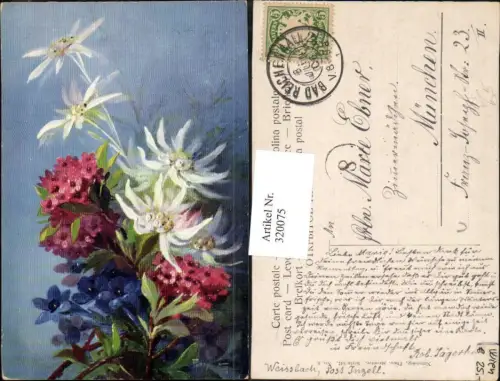 320075,Künstler Ak Mary Golay Alpenblumen Edelweiß Enzian pub Theo Stroefer 547
