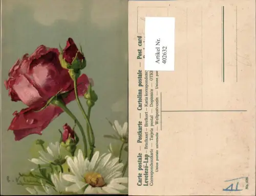 402632,Künstler AK Catharina Klein Rose Rosenblüte Knospen Margeriten
