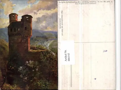 486145,Künstler AK Heinrich Hoffmann Schwalbennest m. Neckarsteinach