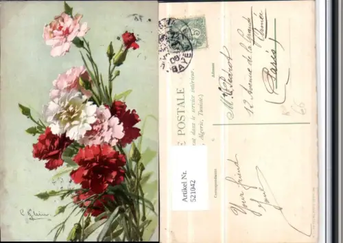 521042,Künstler AK Catharina Klein Nelken Blumen
