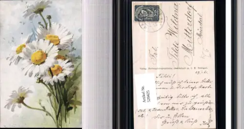 529425,Künstler AK Catharina Klein Gänseblümchen F PH G 123-2208