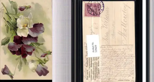 529429,Künstler AK Catharina Klein Vergissmeinnicht Blumen