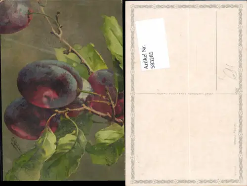 583285,Künstler AK Catharina Klein Obst Stillleben Pflaumen Zwetschken