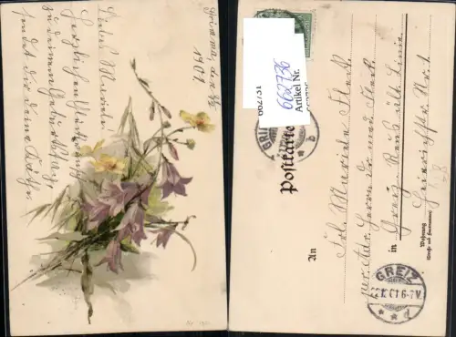 662736,Künstler AK Catharina Klein Blumen 1901 Stp. Greiz